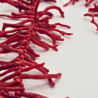 Coral Fringed Necklace - Original red coral sprigs choker