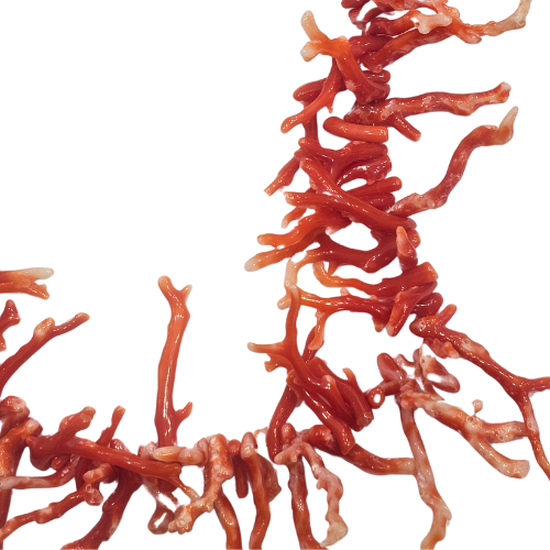 Collana Frange Corallo Sfumato - Girocollo rametti corallo rosso originale